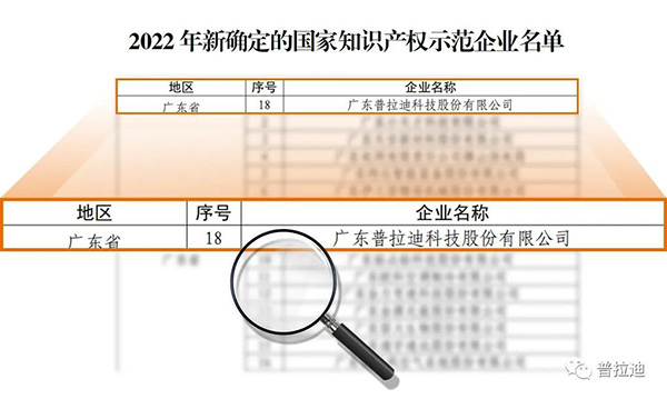 2022年新确定的国家知识产权示范企业名单